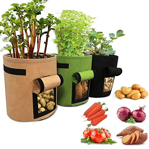 Buy GARDECO 260 GSM HDPE UV Treated Square Type Grow Bags for Vegetable,  Flower Plants (10x10x10-Inch) Pack of 10 Online at Best Prices in India -  JioMart.