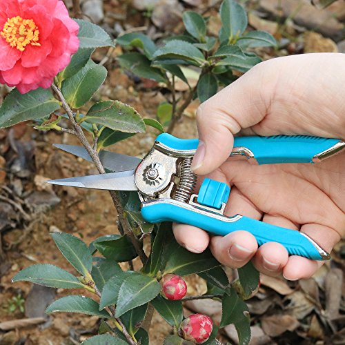 Flora Guard 6.5 inch Micro-Tip Pruning Snip Gardening Hand Pruning Shears Trimming Scissors with Stainless Steel(6 Pieces